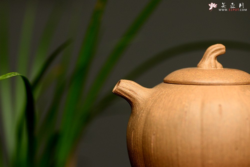 紫砂壶图片：姜建荣全手作品 古朴之味 全手硕果 - 宜兴紫砂壶网