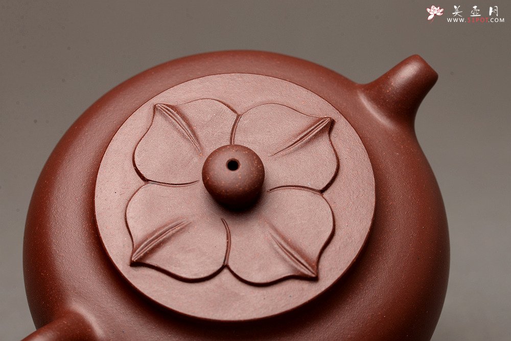 紫砂壶图片：马建鹏新品 饱满可人 有趣实用 莲华壶 美壶特惠  - 宜兴紫砂壶网