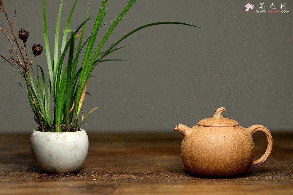 紫砂壶图片：姜建荣全手作品 古朴之味 全手硕果 - 宜兴紫砂壶网