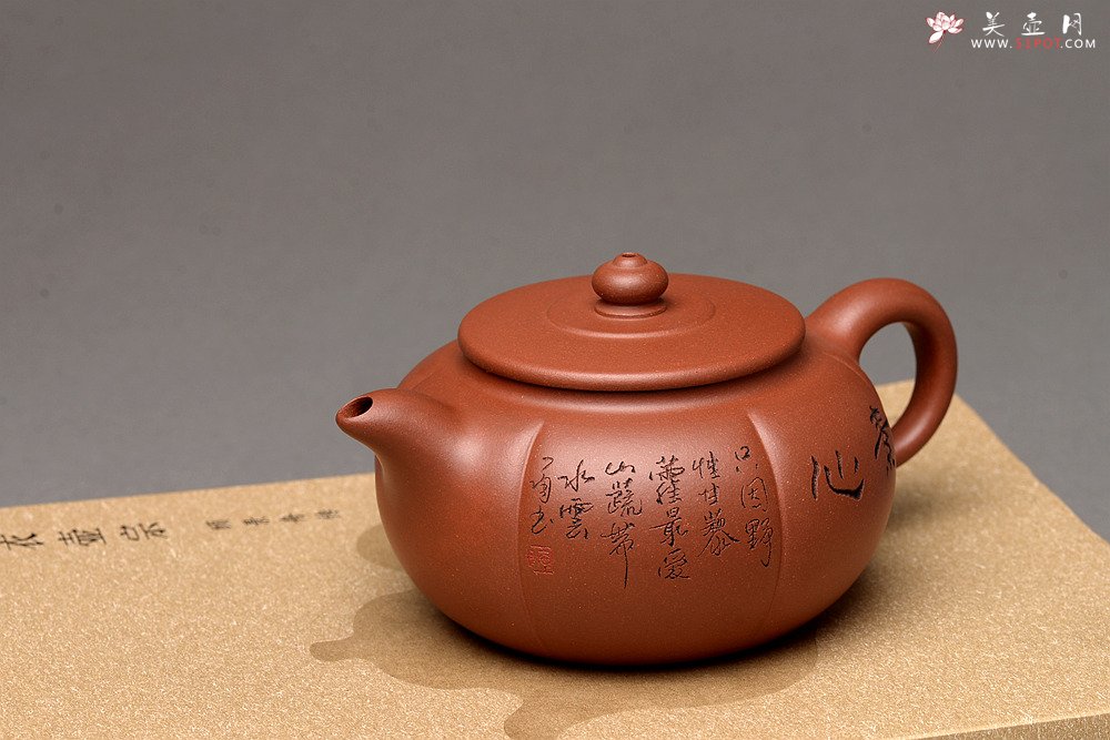 紫砂壶图片：钱伟刚最新作品 饱满 器形端庄 素心 - 宜兴紫砂壶网