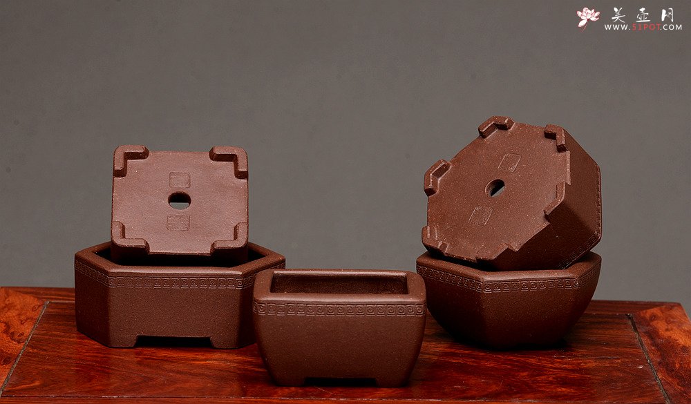 紫砂壶图片：张秋平全手微型花盆 美壶网回馈之作 气度更加漂亮 - 宜兴紫砂壶网