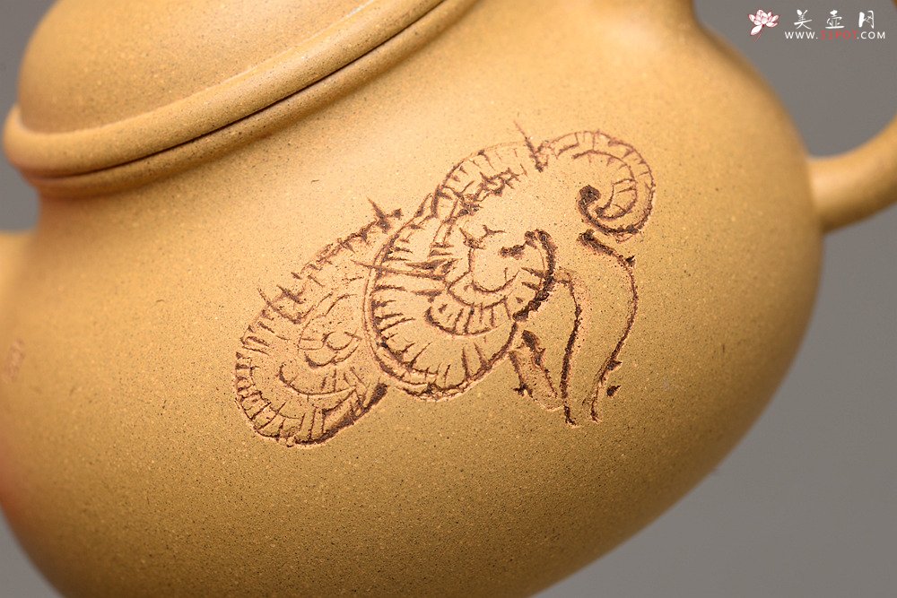 紫砂壶图片：壶中经典 古朴实用 杀茶利器 容天  - 宜兴紫砂壶网