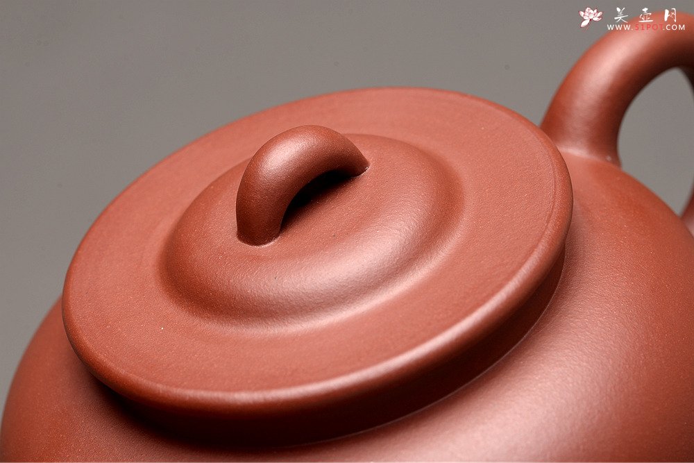 紫砂壶图片：美壶特惠 路达新品 大气古韵 进步之作 全手红炉  - 宜兴紫砂壶网