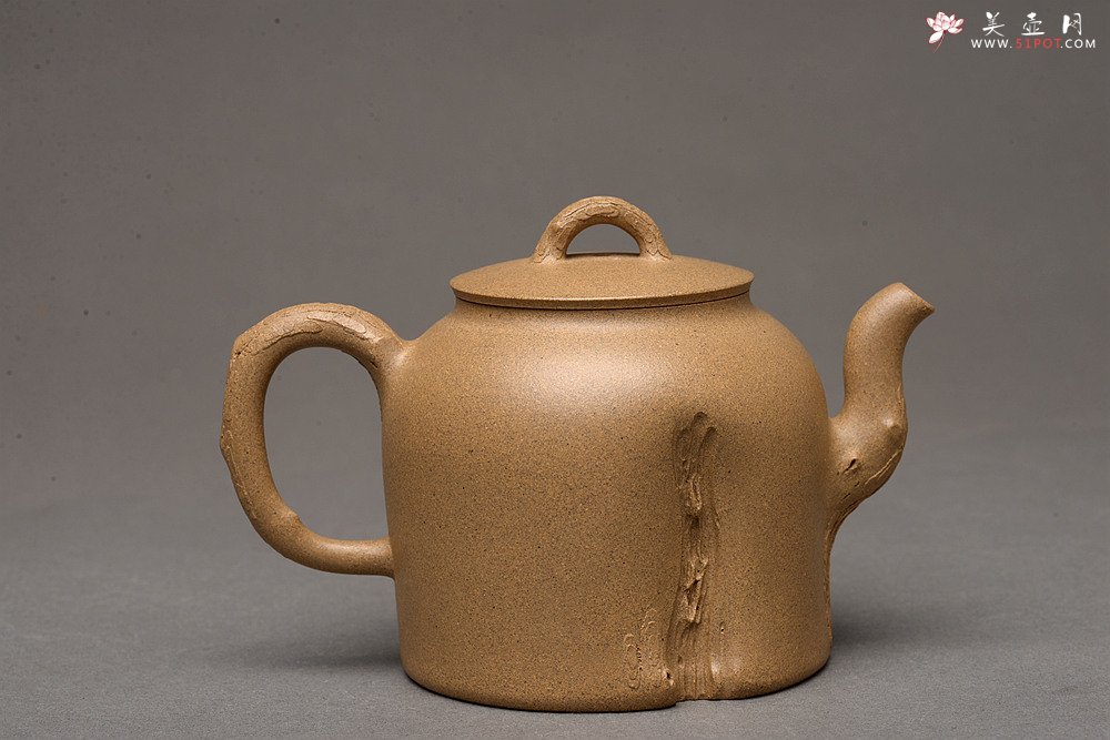 紫砂壶图片：高雪琴全手新作 优质段泥 端庄丰润 缎松 松皮逼真 - 宜兴紫砂壶网