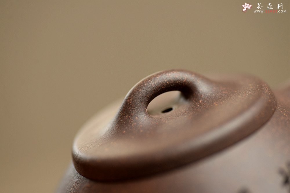 紫砂壶图片：周斌全手新作 摹古石瓢 韵味十足 高温老紫泥 知秋双刀精刻 - 宜兴紫砂壶网