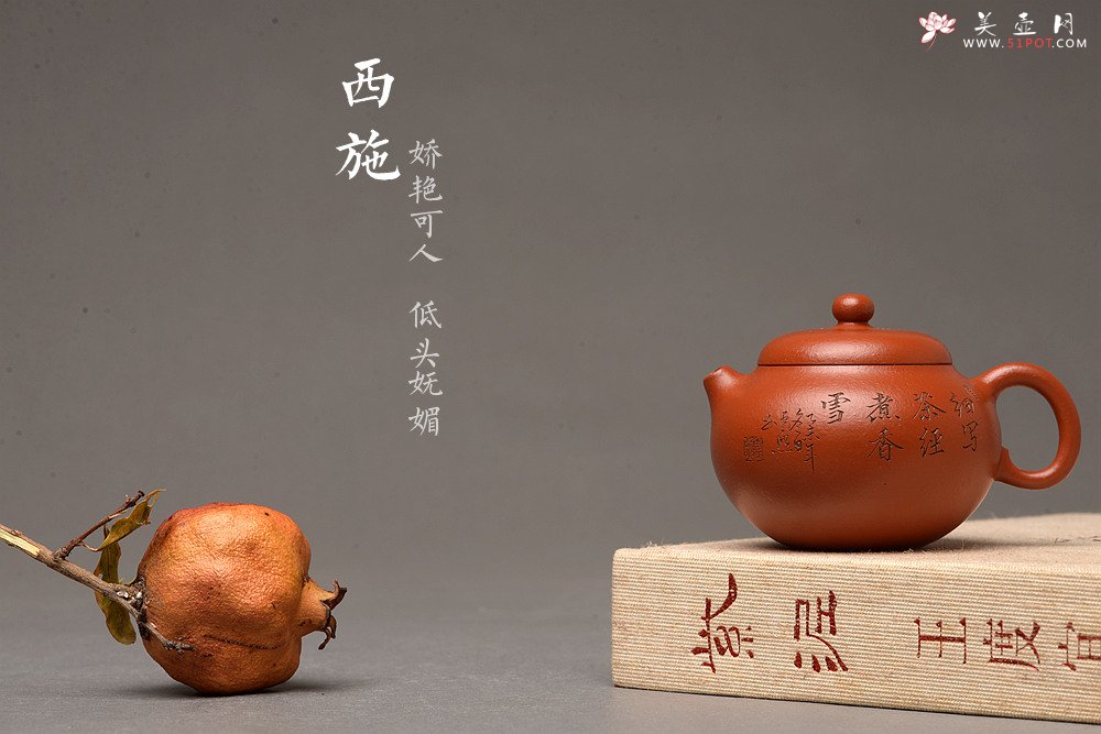 紫砂壶图片：娇艳玉人小西施 张云熙乙未年冬作品 茶盘尤物 优雅饱满 线条灵动 - 宜兴紫砂壶网