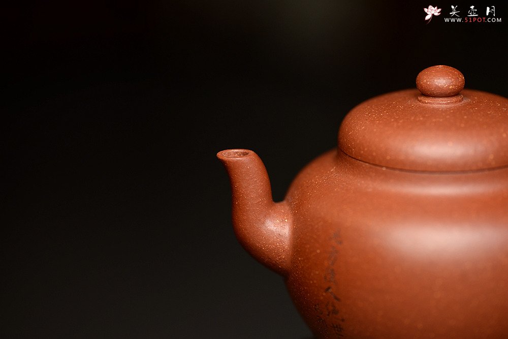紫砂壶图片：亭亭玉立 素心静气 弯嘴莲子 - 宜兴紫砂壶网