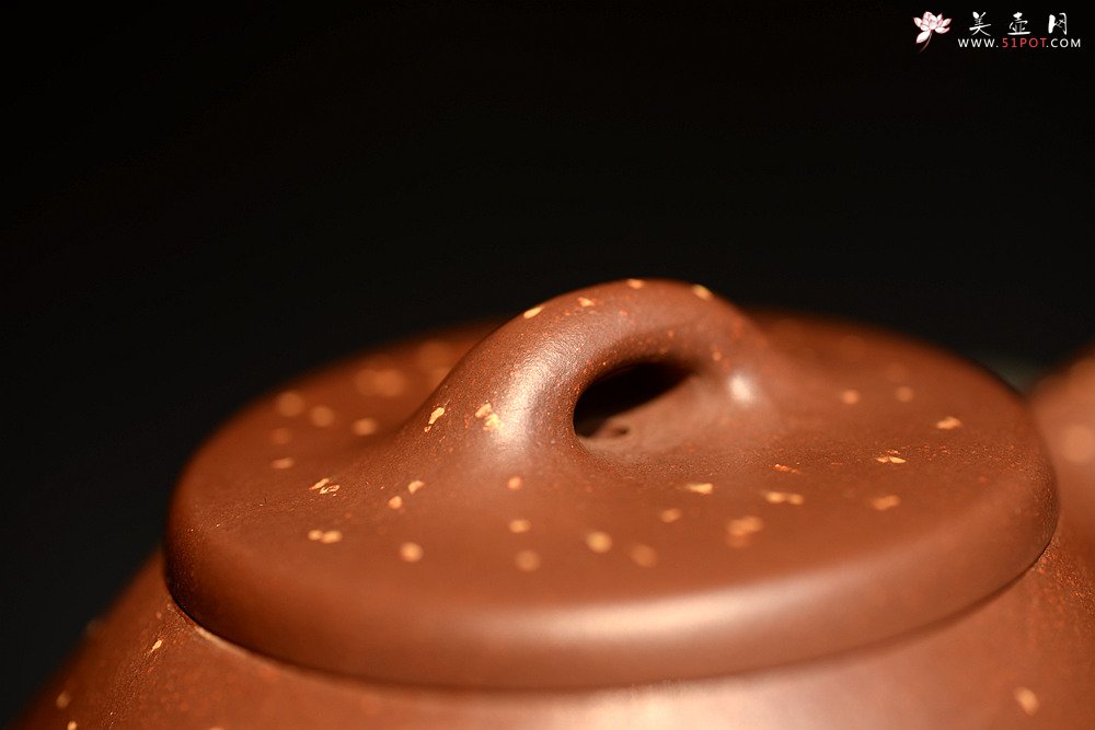 紫砂壶图片：骨肉均挺 迷人铺砂 巧克力之全手子冶石瓢 - 宜兴紫砂壶网