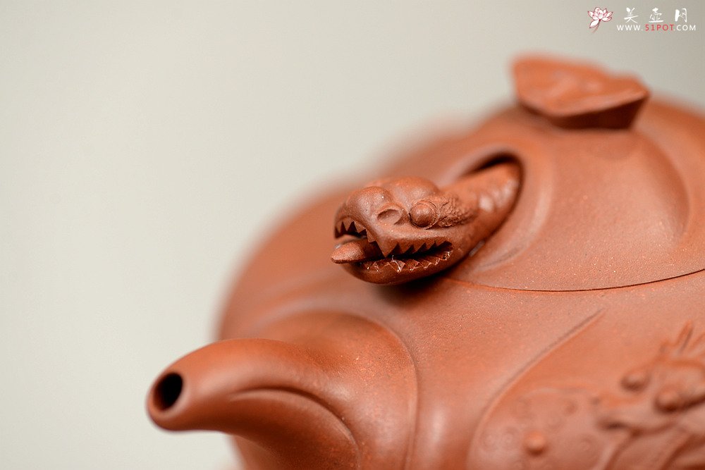 紫砂壶图片：精工之作 鱼化龙 别具风格~油润底槽青 鱼跃龙门 - 宜兴紫砂壶网