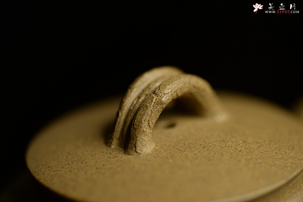 紫砂壶图片：高雪琴全手新作 优质段泥 端庄丰润 缎松 松皮逼真 - 宜兴紫砂壶网