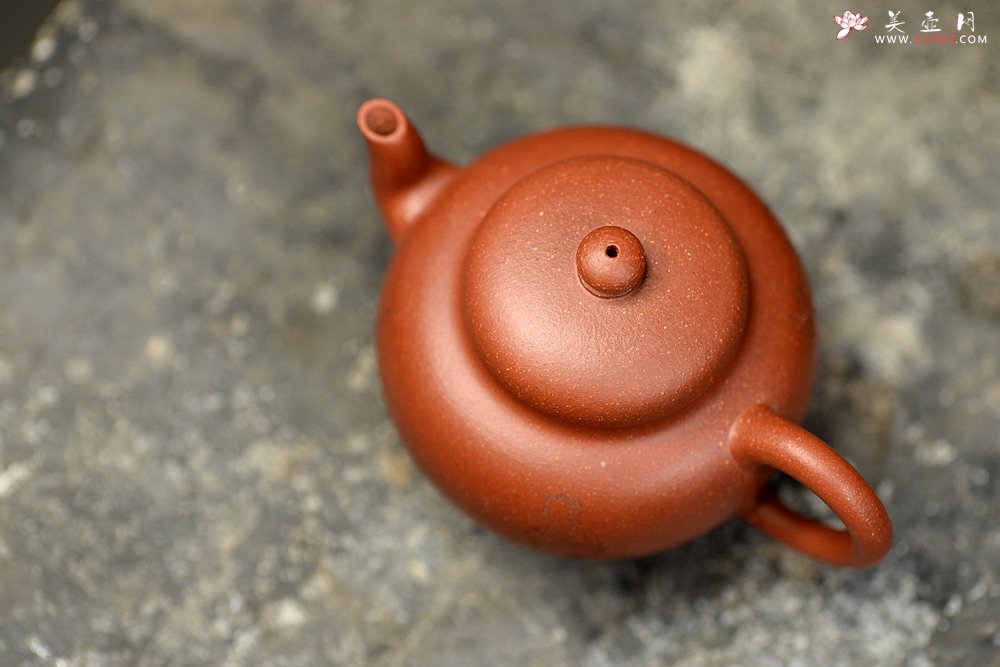 紫砂壶图片：亭亭玉立 素心静气 弯嘴莲子 - 宜兴紫砂壶网