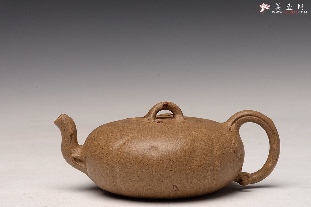 紫砂壶图片：高雪琴新作 优质老段泥 贴叶灵动 大口实用 全手春趣 - 宜兴紫砂壶网
