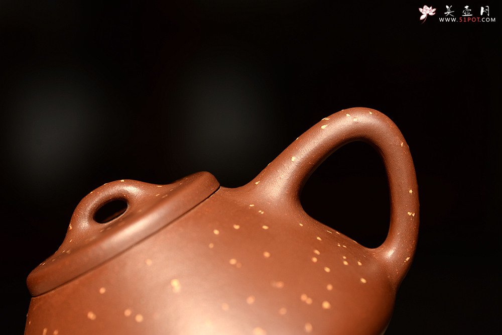 紫砂壶图片：骨肉均挺 迷人铺砂 巧克力之全手子冶石瓢 - 宜兴紫砂壶网