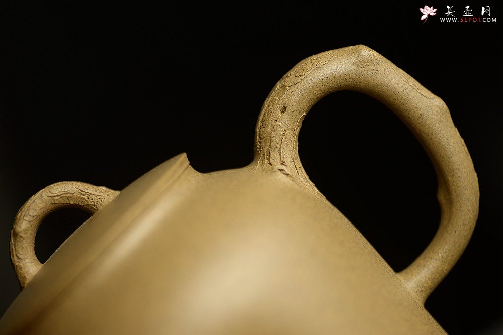 紫砂壶图片：高雪琴全手新作 优质段泥 端庄丰润 缎松 松皮逼真 - 宜兴紫砂壶网