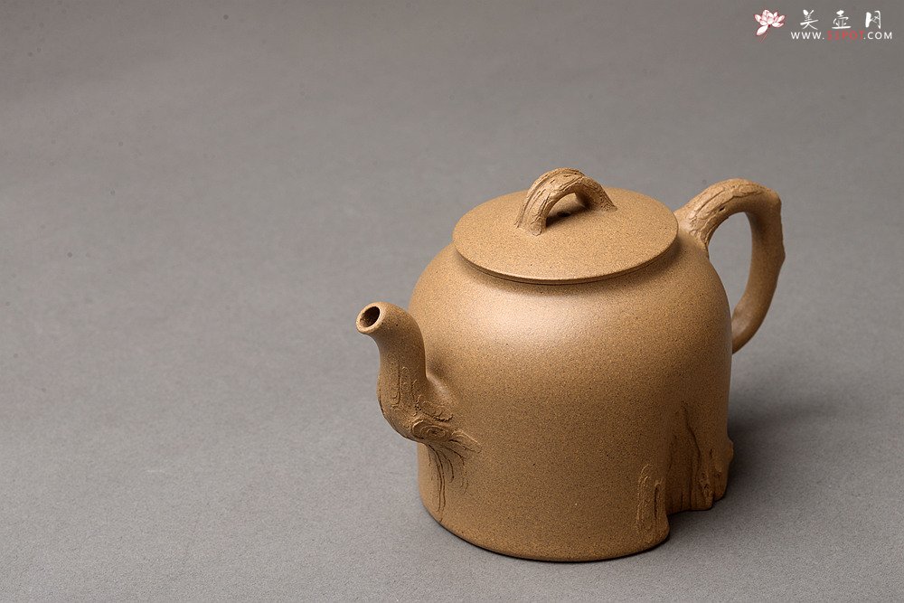 紫砂壶图片：高雪琴全手新作 优质段泥 端庄丰润 缎松 松皮逼真 - 宜兴紫砂壶网