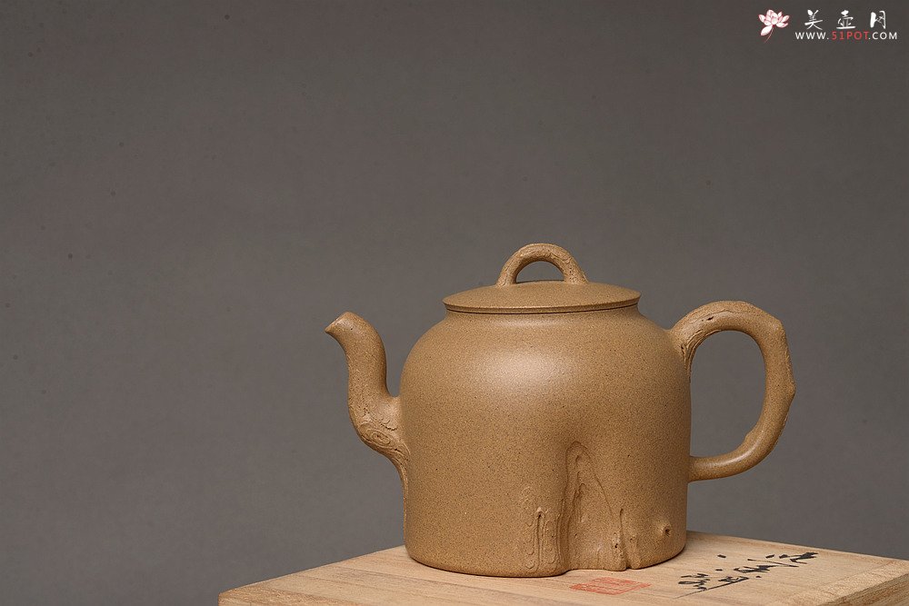 紫砂壶图片：高雪琴全手新作 优质段泥 端庄丰润 缎松 松皮逼真 - 宜兴紫砂壶网