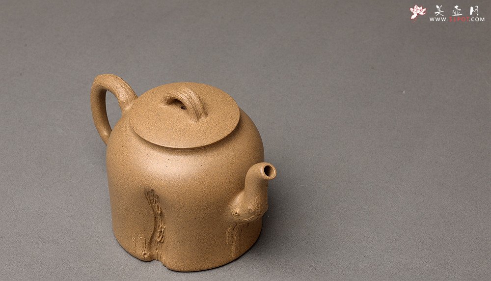 紫砂壶图片：高雪琴全手新作 优质段泥 端庄丰润 缎松 松皮逼真 - 宜兴紫砂壶网