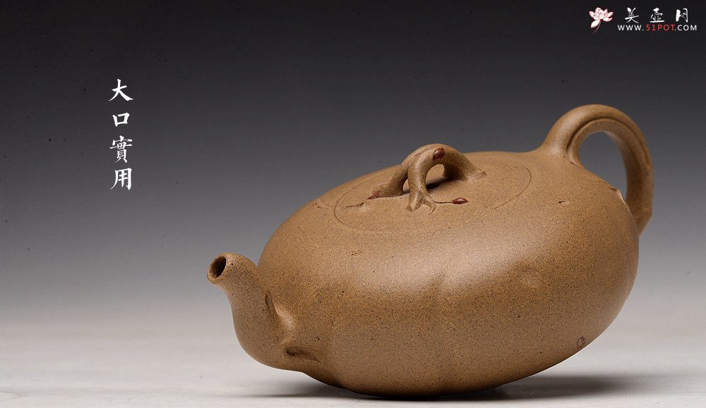 紫砂壶图片：高雪琴新作 优质老段泥 贴叶灵动 大口实用 全手春趣 - 宜兴紫砂壶网