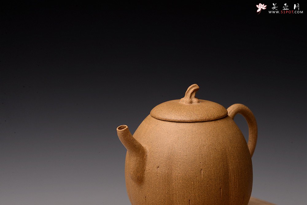 紫砂壶图片：姜建荣全手作品 硕果二 古拙有趣 秀气可人 - 宜兴紫砂壶网