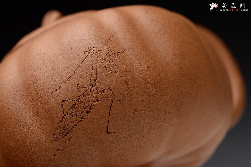 紫砂壶图片：姜建荣全手玩味小南瓜 田园清趣 游心堂主人装饰 - 宜兴紫砂壶网