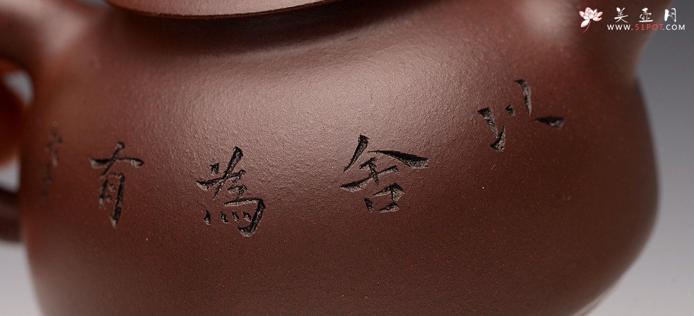 紫砂壶图片：品饮之乐 造型可人~ 悟道小壶 - 宜兴紫砂壶网