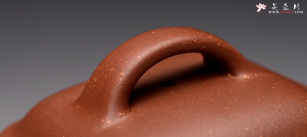 紫砂壶图片：储俊伟乙未年冬精品工力作 雄厚雄劲 高瞻远瞩 全手金砂传炉 赵辉先生文气装饰 - 宜兴紫砂壶网