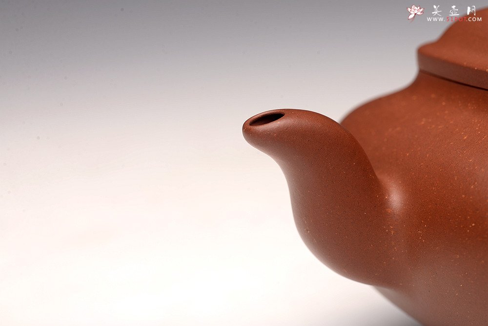 紫砂壶图片：储俊伟乙未年冬精品工力作 雄厚雄劲 高瞻远瞩 全手金砂传炉 赵辉先生文气装饰 - 宜兴紫砂壶网