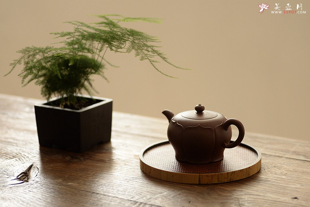 紫砂壶图片：蔡旭伟丙申春全手作品 秀丽可爱 筋纹小花 荷韵 - 宜兴紫砂壶网