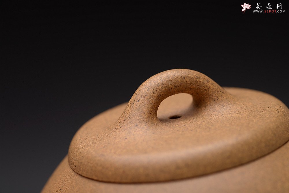 紫砂壶图片：丙申新品 美壶特惠 骨感段泥小石瓢 140cc 岩茶、普洱利器 - 宜兴紫砂壶网