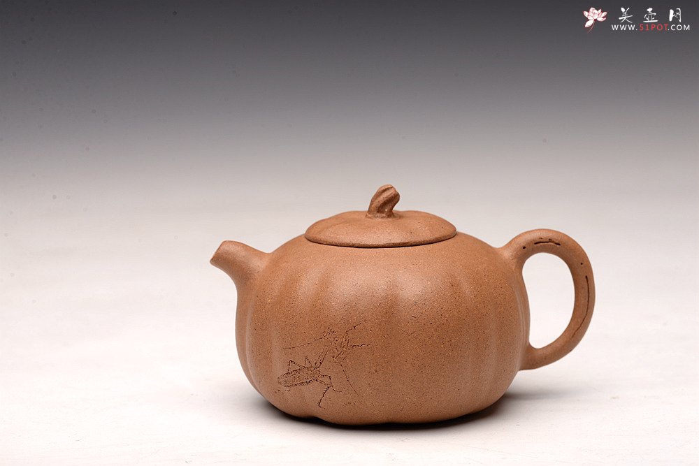 紫砂壶图片：姜建荣全手玩味小南瓜 田园清趣 游心堂主人装饰 - 宜兴紫砂壶网