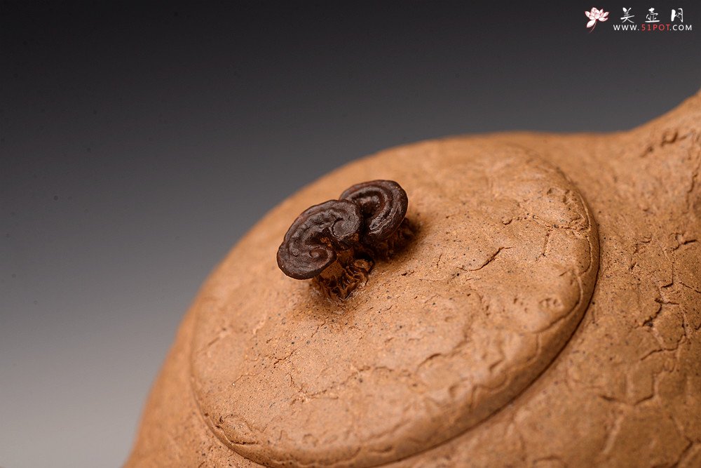 紫砂壶图片：谢多莲丙申初夏 肌理自然生动  全手小龚春 古朴之味 - 宜兴紫砂壶网