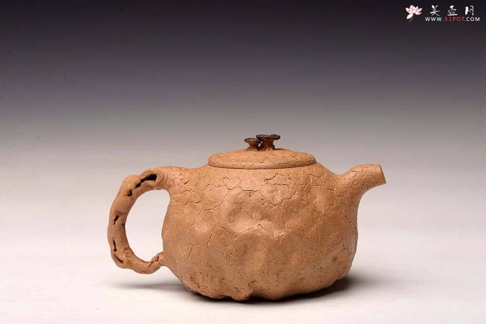 紫砂壶图片：谢多莲丙申初夏 肌理自然生动  全手小龚春 古朴之味 - 宜兴紫砂壶网