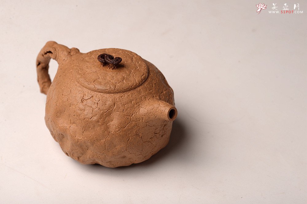 紫砂壶图片：谢多莲丙申初夏 肌理自然生动  全手小龚春 古朴之味 - 宜兴紫砂壶网