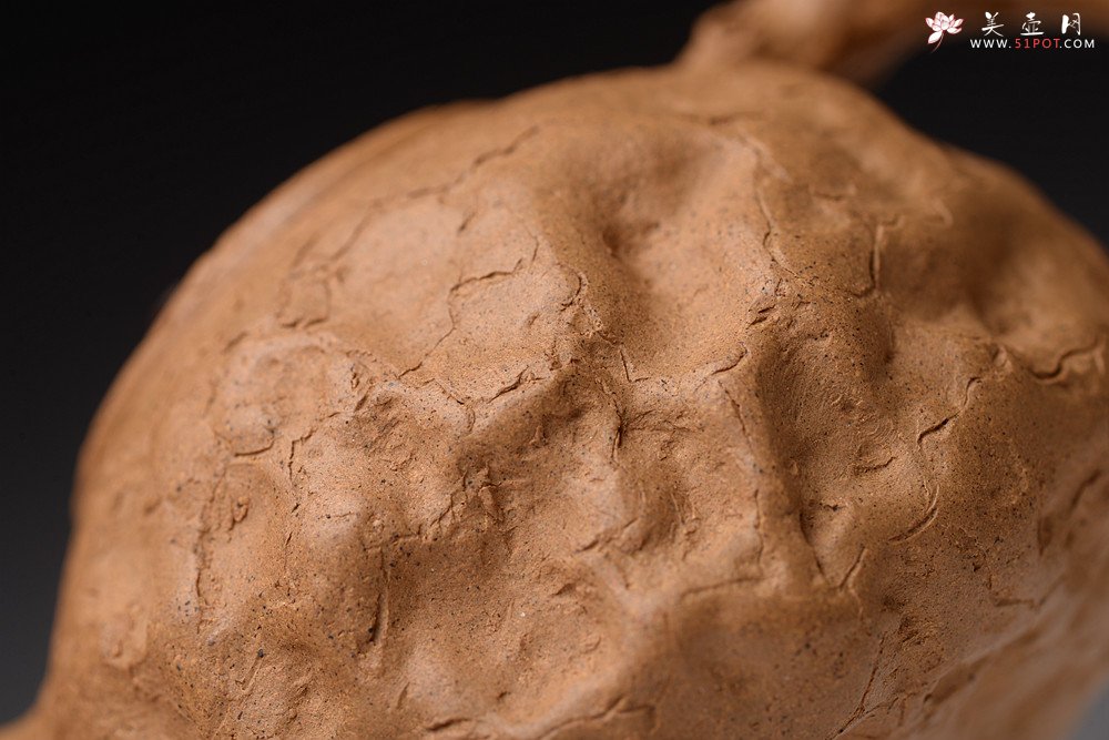 紫砂壶图片：谢多莲丙申初夏 肌理自然生动  全手小龚春 古朴之味 - 宜兴紫砂壶网