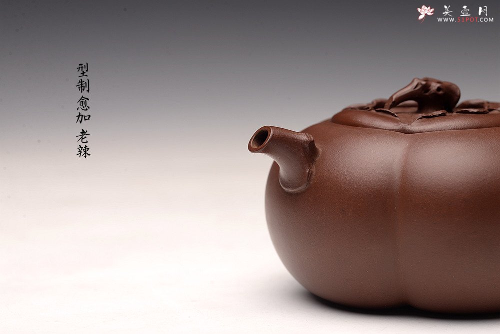 紫砂壶图片：潘丹初丙申春精品 筋囊花货 全手大玉柿 气度饱满 逸品之作 值得珍藏 - 宜兴紫砂壶网