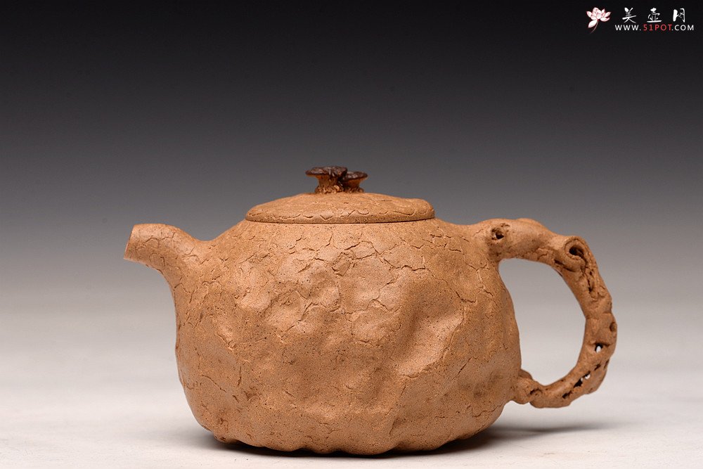紫砂壶图片：谢多莲丙申初夏 肌理自然生动  全手小龚春 古朴之味 - 宜兴紫砂壶网