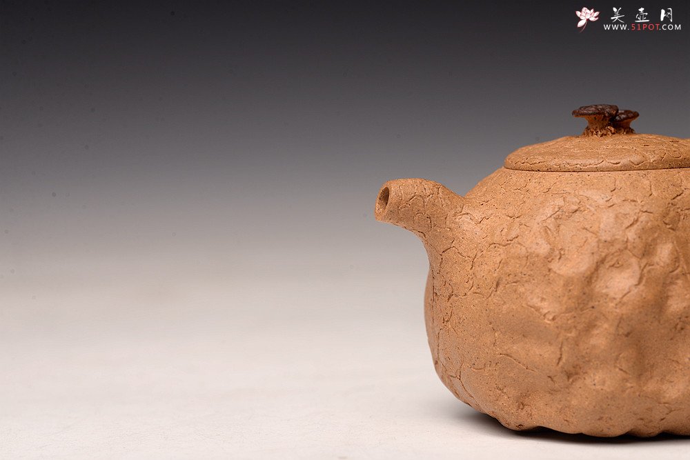 紫砂壶图片：谢多莲丙申初夏 肌理自然生动  全手小龚春 古朴之味 - 宜兴紫砂壶网