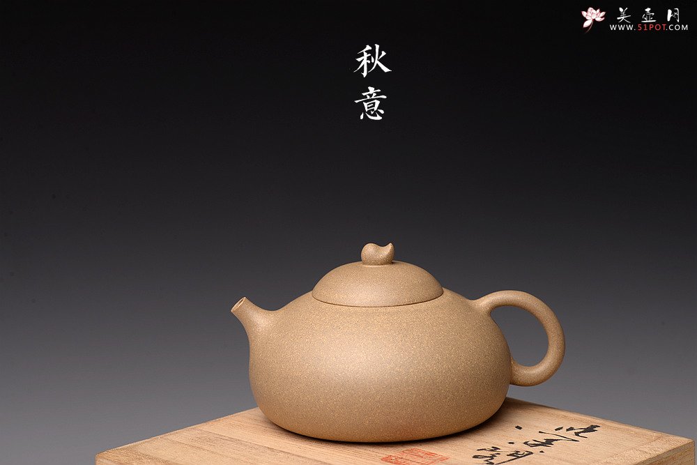 紫砂壶图片：储亚丙申初夏作品 全手秋意 颇具玩味 荷塘清趣 优质本山段 - 宜兴紫砂壶网