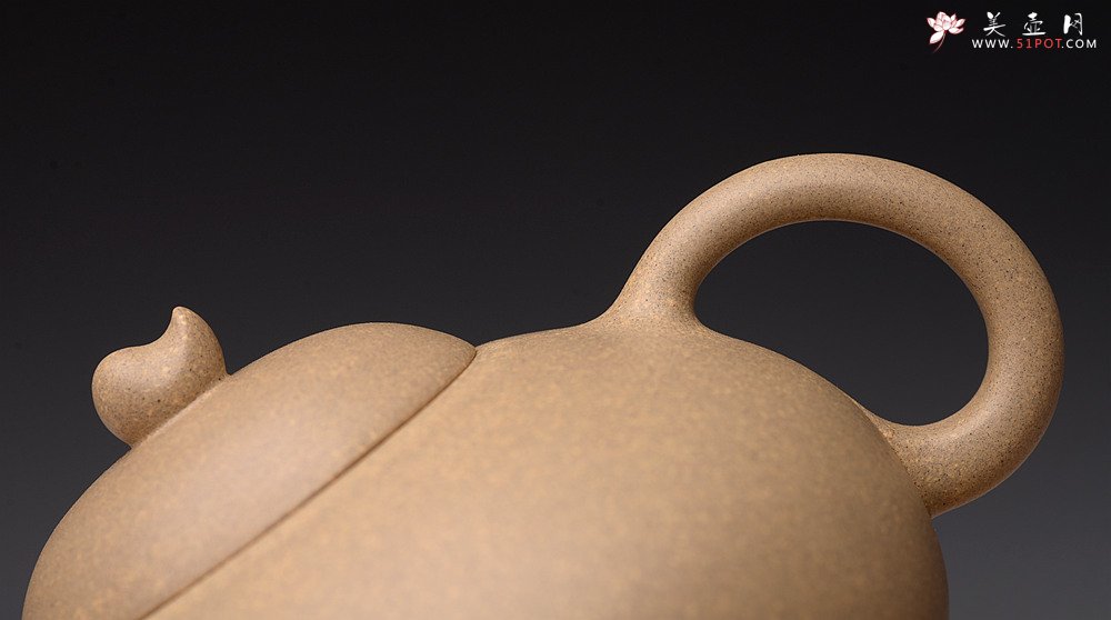 紫砂壶图片：储亚丙申初夏作品 全手秋意 颇具玩味 荷塘清趣 优质本山段 - 宜兴紫砂壶网