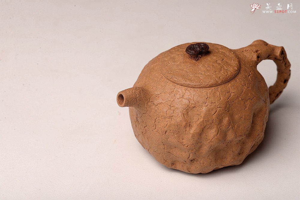 紫砂壶图片：谢多莲丙申初夏 肌理自然生动  全手小龚春 古朴之味 - 宜兴紫砂壶网