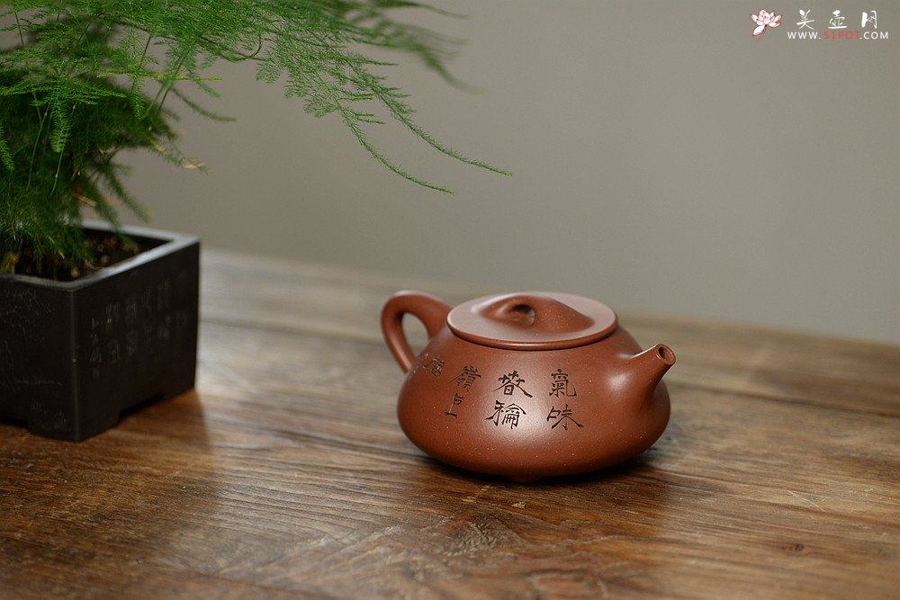 紫砂壶图片：吴杰全手新作 气势饱满 陆轶舟装饰 双刀老辣 精致耐品~ 梅花满瓢 致敬景舟 - 宜兴紫砂壶网