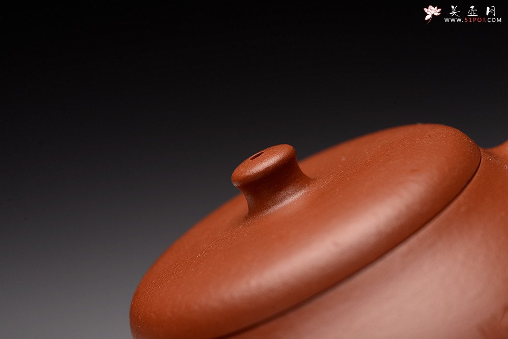 紫砂壶图片：唐文丙申夏新作 婉亭 红艳可人 游心堂主人装饰 - 宜兴紫砂壶网