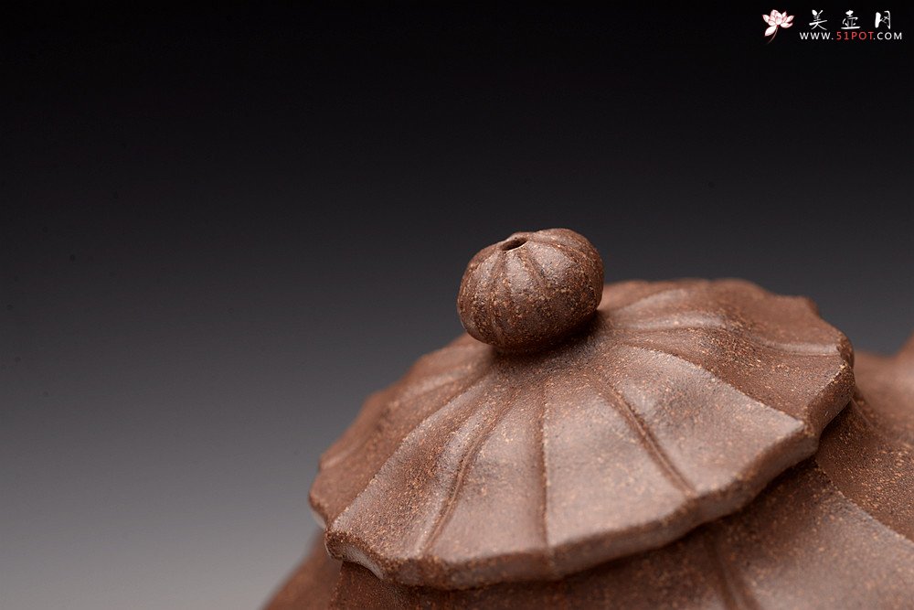 紫砂壶图片：周斌丙申夏全手新作 文气素雅  筋囊器 伴月 - 宜兴紫砂壶网