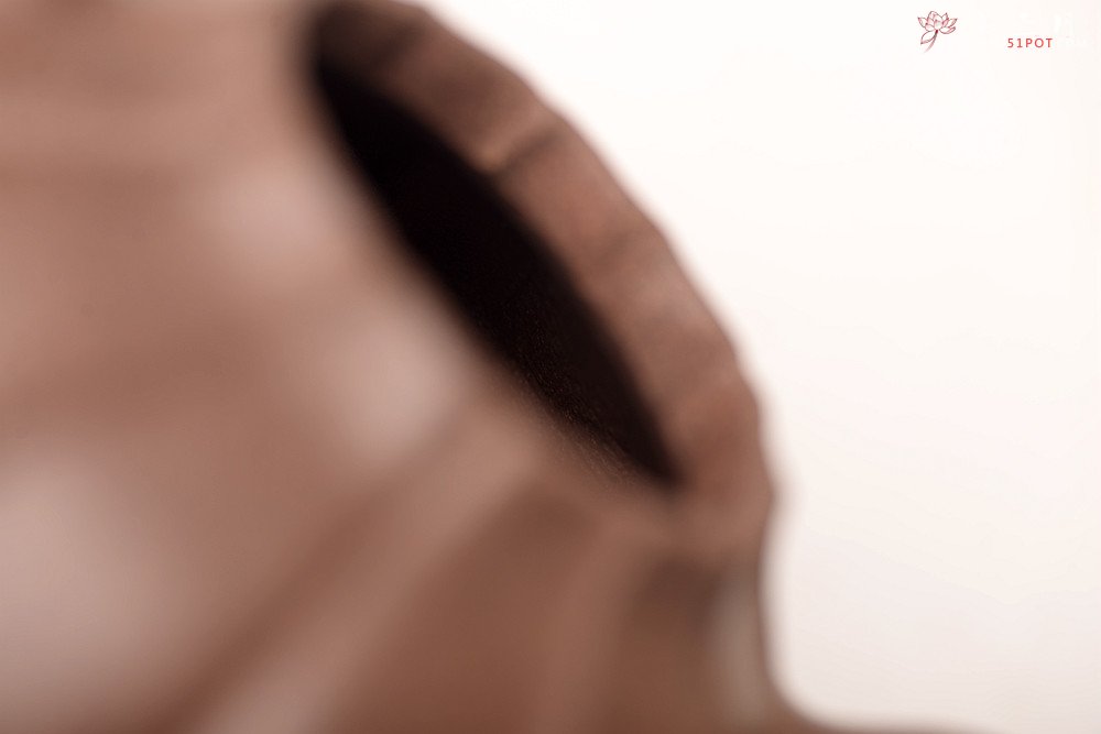 紫砂壶图片：周斌丙申夏全手新作 文气素雅  筋囊器 伴月 - 宜兴紫砂壶网