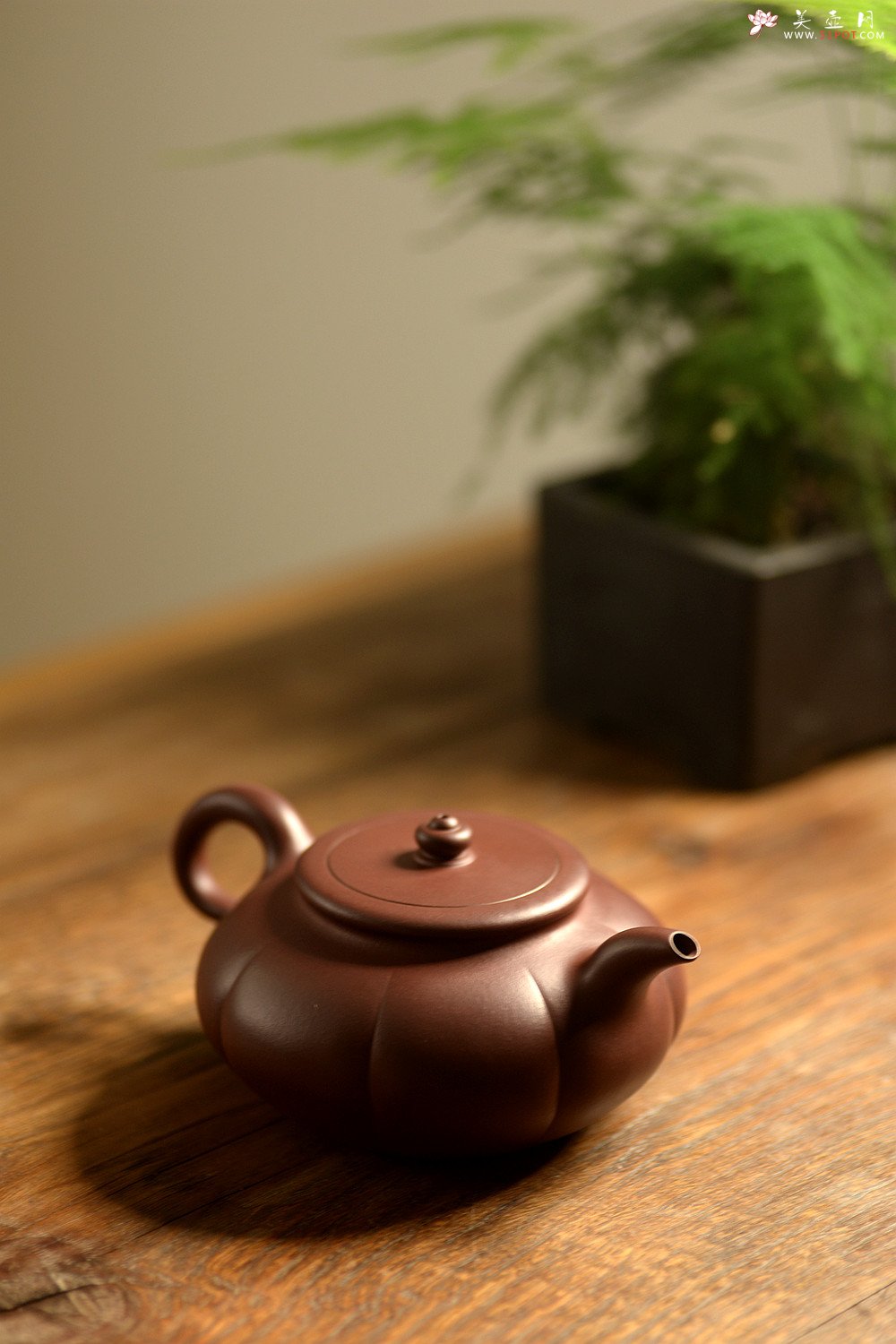 紫砂壶图片：陈进丙申初夏全手新作 筋囊器型 难度之大 端庄优雅 秋蕾 - 宜兴紫砂壶网