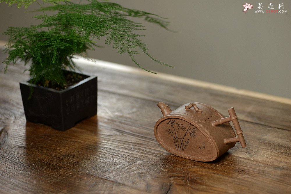 紫砂壶图片：耿其群创意新作 个性演绎 别具意趣  全手清风竹段  - 宜兴紫砂壶网