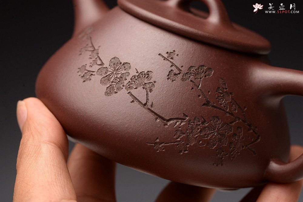 紫砂壶图片：梅骨兰香 全手子冶石瓢 骨肉均挺之精品 - 宜兴紫砂壶网