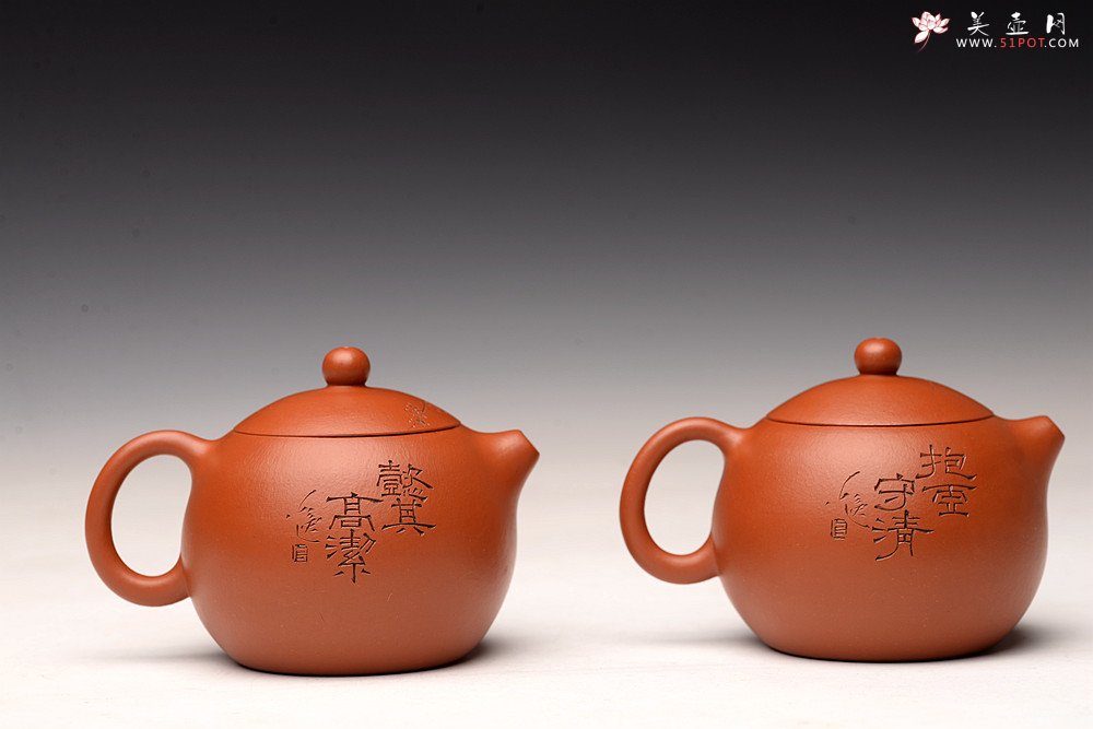 紫砂壶图片：传统经典 娇艳小巧 徐亚春全手西施  陆轶舟老师装饰 梅竹双清 - 宜兴紫砂壶网