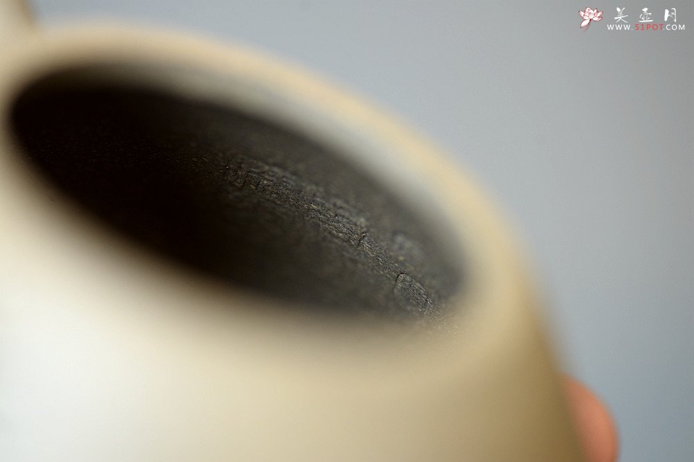 紫砂壶图片：周路健丙申夏全手新作  古意盎然 优质青段 心舟石瓢 陆轶舟文气装饰 - 宜兴紫砂壶网