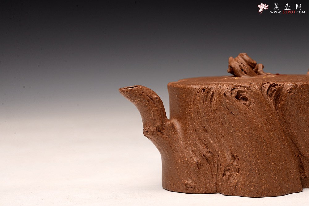 紫砂壶图片：林月长丙申夏全手原创精品 肌理丰富 紫砂新风 学院派 逸林 - 宜兴紫砂壶网